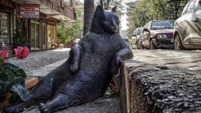 Social Listening: The Ultimate Guide to Understanding Your Audience